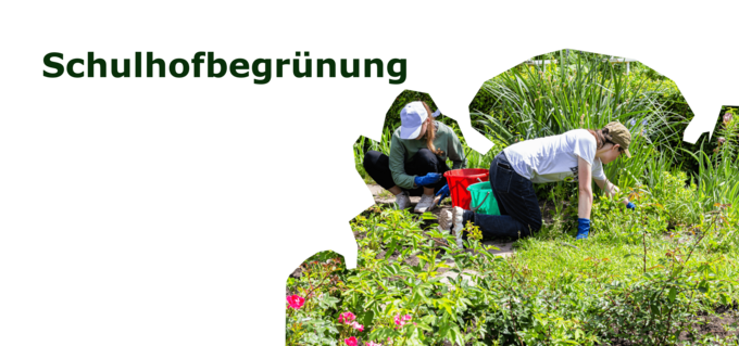 Schulhofbegrünung